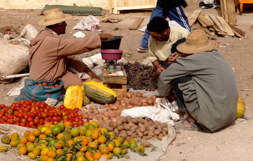 Souk Ida Ougourd chaque Mercredi