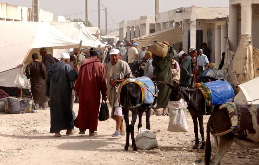 Souk Ida Ougourd chaque Mercredi