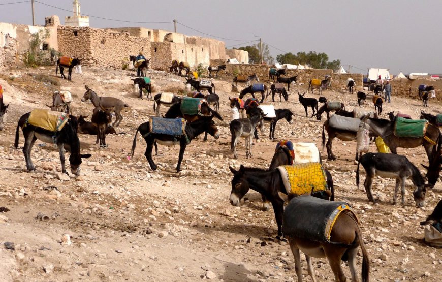 Souk Ida Ougourd chaque Mercredi
