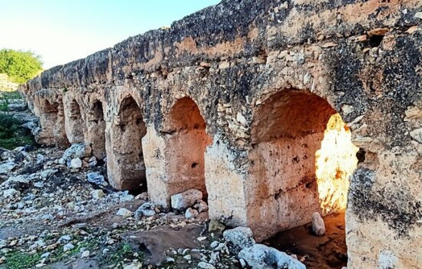 Souk Ida Ougourd chaque Mercredi