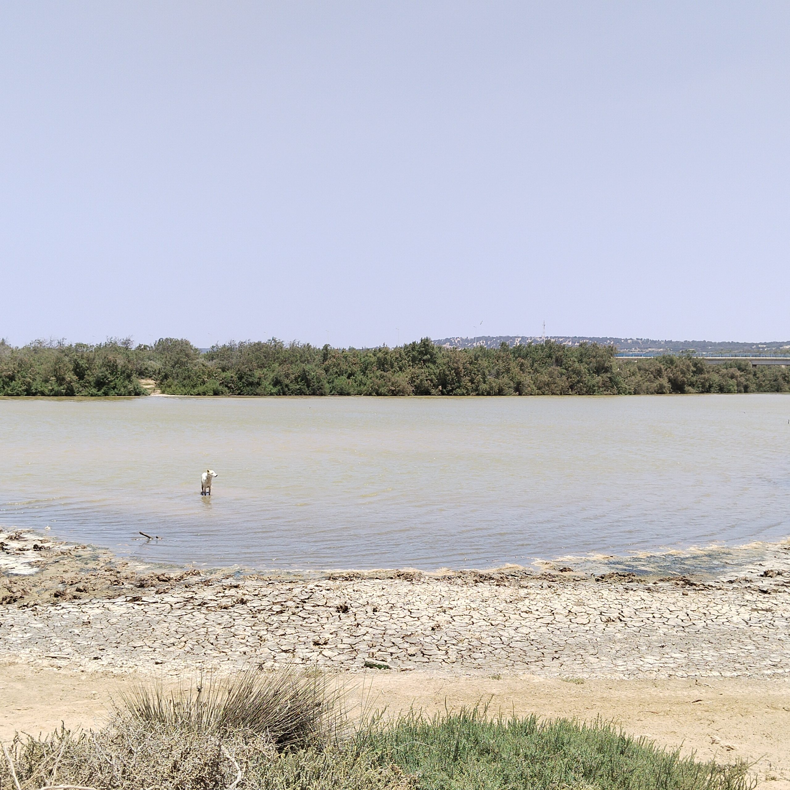 Essaouira taxi - Essaouira Transfert - activités - Essaouira randonnées - Essaouira promenade- Essaouira excursion