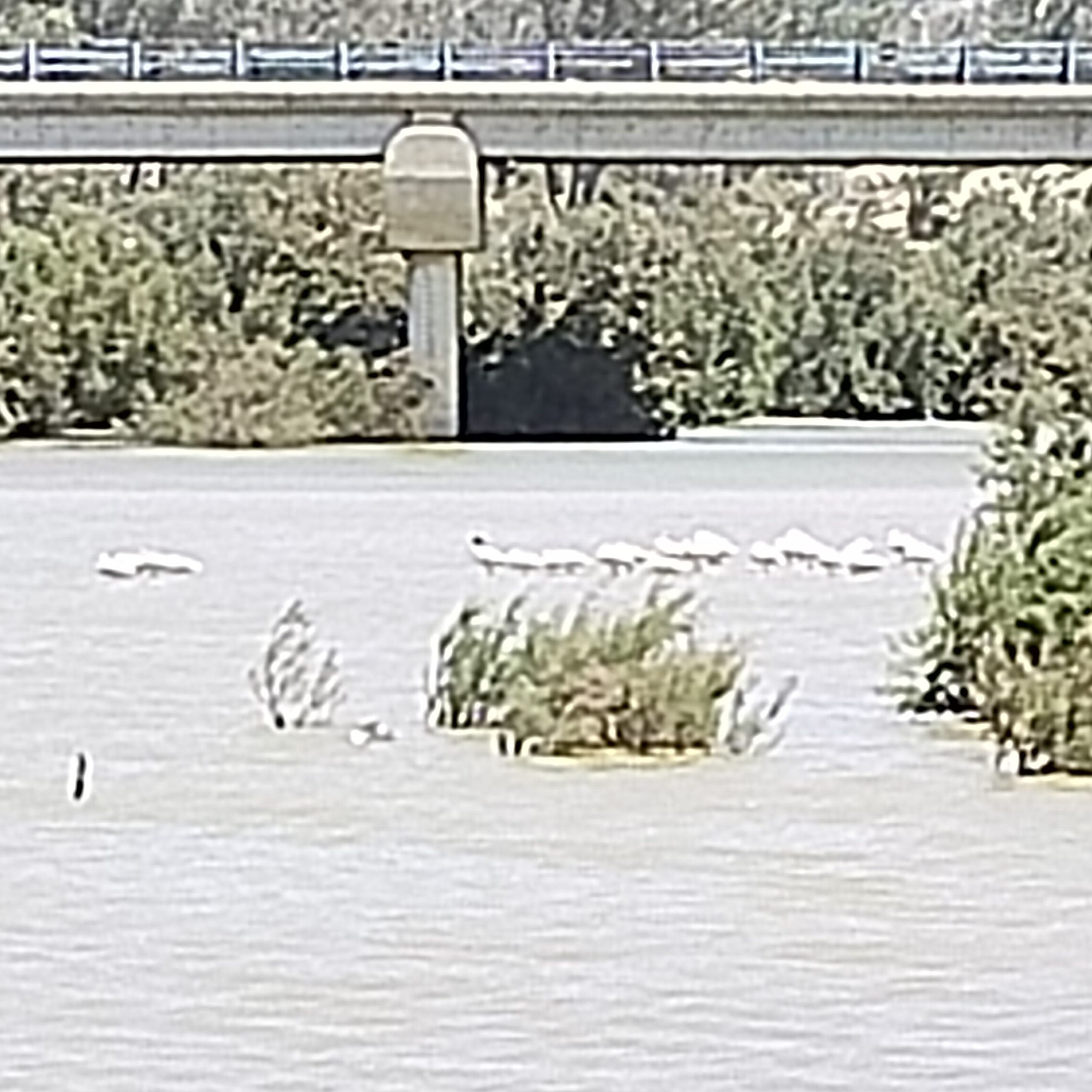 Essaouira taxi - Essaouira Transfert - activités - Essaouira randonnées - Essaouira promenade- Essaouira excursion